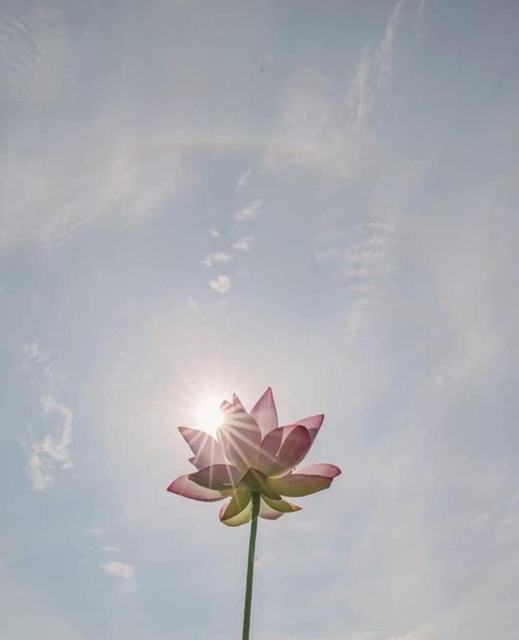 Khach San Flower Sky На Транг Екстериор снимка